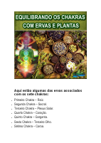Equilibrando os chacras.pdf